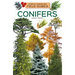 Conifers