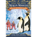 Eve of the Emperor Penguin