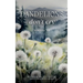 Dandelions don't cry