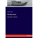 The Boy Jesus: And other sermons