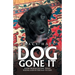 Dog Gone It: From Trauma to Tail-Wags, Seeing God in the Day-To-Day