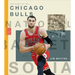 The Story of the Chicago Bulls