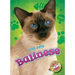Balinese