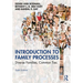 Introduction to Family Processes: Diverse Families, Common Ties