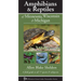Amphibians & Reptiles of Minnesota, Wisconsin & Michigan: A Field Guide to All 77 Species & Subspecies
