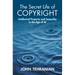 The Secret Life of Copyright: Intellectual Property and Inequality in the Age of AI