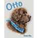 Otto