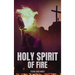 Holy Spirit of Fire