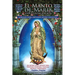 El Manto de María: Una Consagración Mariana para Obtener Ayuda Celestial