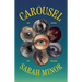 Carousel: An Essay on Seeing