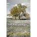 Still Full of Sap: Reflections On Growing Older