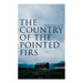The Country of the Pointed Firs: Tale of a Small-Town Life
