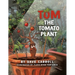 Tom The Tomato Plant
