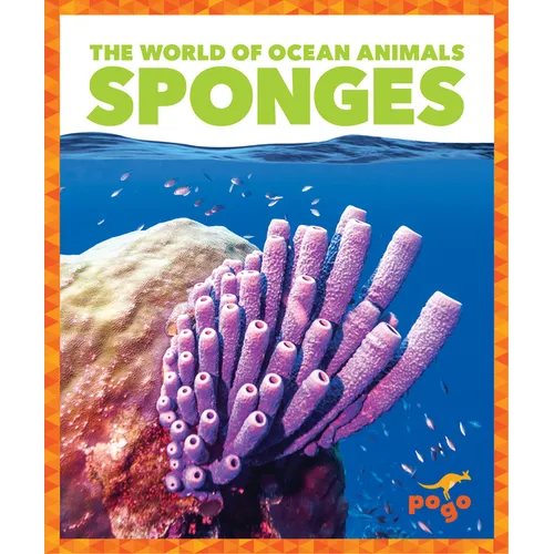 Sponges