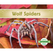 Wolf Spiders