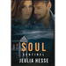 Soul Sentinel: A romantic mystery with gripping suspense