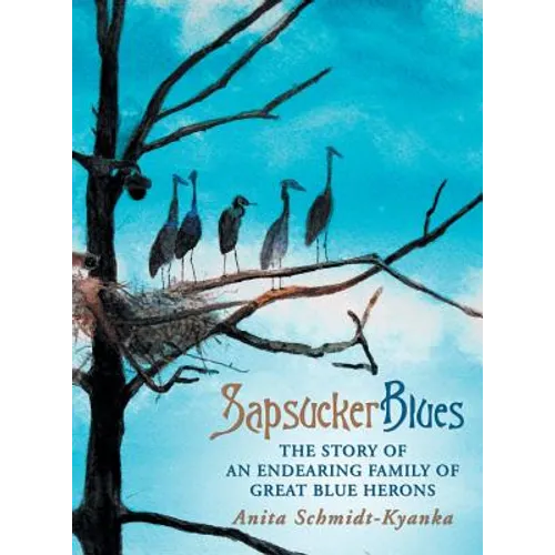 Sapsucker Blues: The Story of an Endearing Family of Great Blue Herons