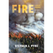 Fire: A Brief History