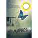 Metamorphosis: My path to transformation