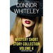 Mystery Short Story Collection Volume 4: 5 Mystery Short Stories
