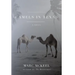 Camels in Texas