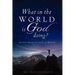 What in the World Is God Doing?