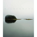 Wilderness