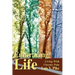 Embracing Life: Living with Chronic Pain