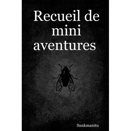 Recueil de mini aventures