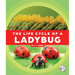 The Life Cycle of a Ladybug