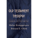 Old Testament Theology: Canon or Testimony