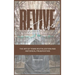 Revive and Thrive: The Art of Town Revitalization and Historical Preservation