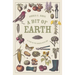 A Bit of Earth: A Year in the Garden with God