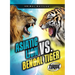 Asiatic Lion vs. Bengal Tiger
