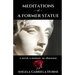 Meditations of a Former Statue