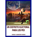 Un Distrito Electoral Para Los Pex