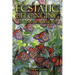 Ecstatic Belonging: A Year on the Medicine Path