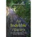 An Indelible History: The African and Amerindian Religious Encounter in the Caribbean