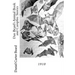 Dan Beard's Animal Book and Campfire Stories