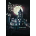 The Secret of the Pointed Tower