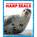 Harp Seals