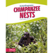 Chimpanzee Nests