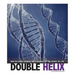Double Helix: How an Image Sparked the Discovery of the Secret of Life