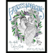 Fairies and Dragons: An Adult Coloring Book