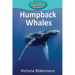 Humpback Whales