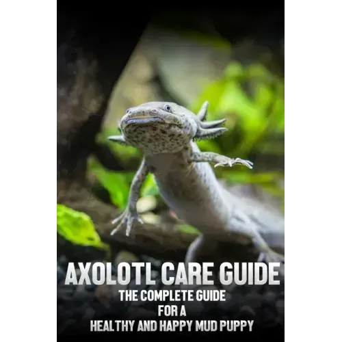 Axolotl care guide: The complete guide for a healthy and happy mud puppy