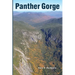Panther Gorge