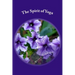 The Spirit of Yoga: Poetry of the Breath