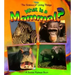 What Is a Mammal?