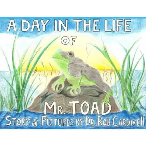 A Day in the Life of Mr. Toad